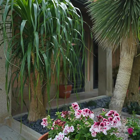 Casa Da Veiga De