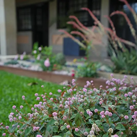 Casa Da Veiga De 招待所 蓬德利马